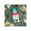 MediNatural Citromillatú Eukaliptusz illóolaj - 10ml
